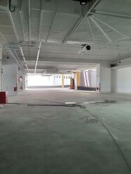 REVV (D22), Factory #483688521